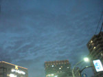 Dsc00435